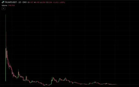 Nhà đầu tư lỗ đậm vì 2 đồng tiền ảo WLFI và Trump