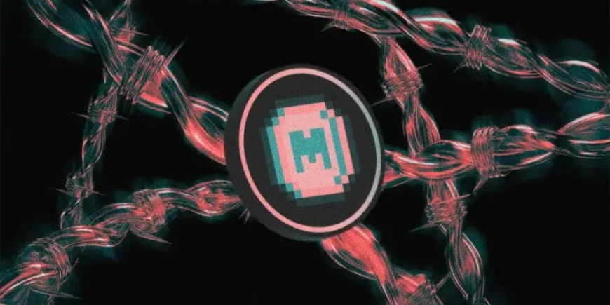 Sự quan tâm đến memecoin hồi phục qua chỉ số tìm kiếm trên Google