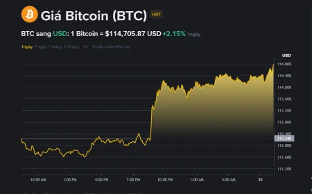 Giá Bitcoin ngày 30.9: Vượt 114.000 USD, đà tăng quay trở lại