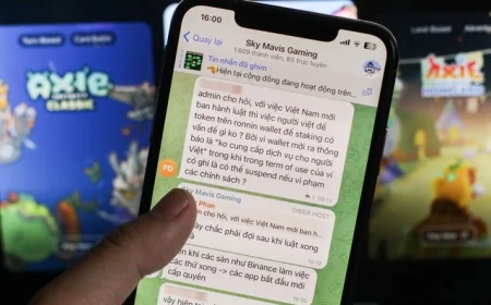 Kỳ lân Sky Mavis thông báo dừng phục vụ người dùng Việt Nam