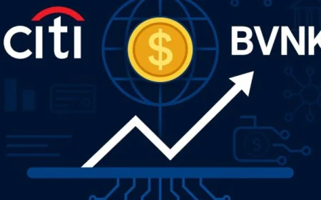 Citi đầu tư vào công ty hạ tầng stablecoin BVNK