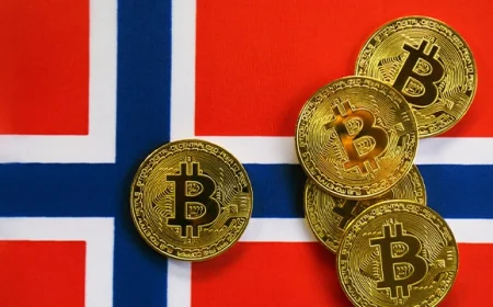 Khai báo thuế tài sản mã hóa tại Na Uy tăng mạnh