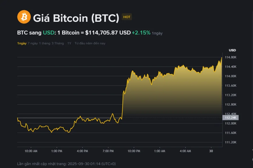 Giá Bitcoin ngày 30.9: Vượt 114.000 USD, đà tăng quay trở lại