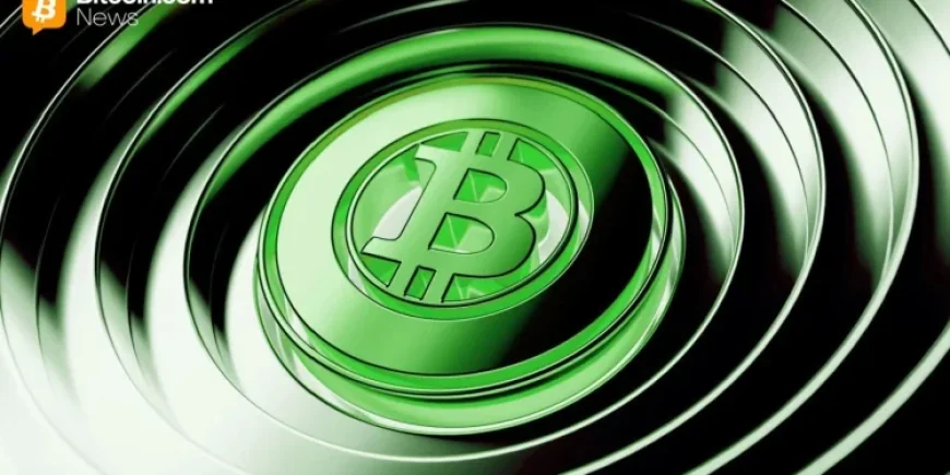 Các quỹ ETF Bitcoin và Ether thu hút 557 triệu USD trong phiên thứ ba ngày 30/9