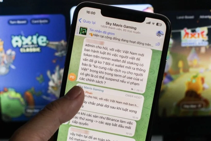 Kỳ lân Sky Mavis thông báo dừng phục vụ người dùng Việt Nam