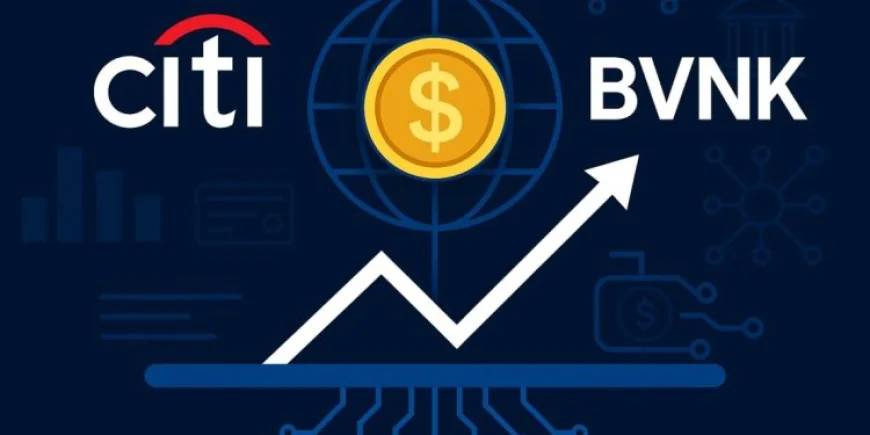 Citi đầu tư vào công ty hạ tầng stablecoin BVNK