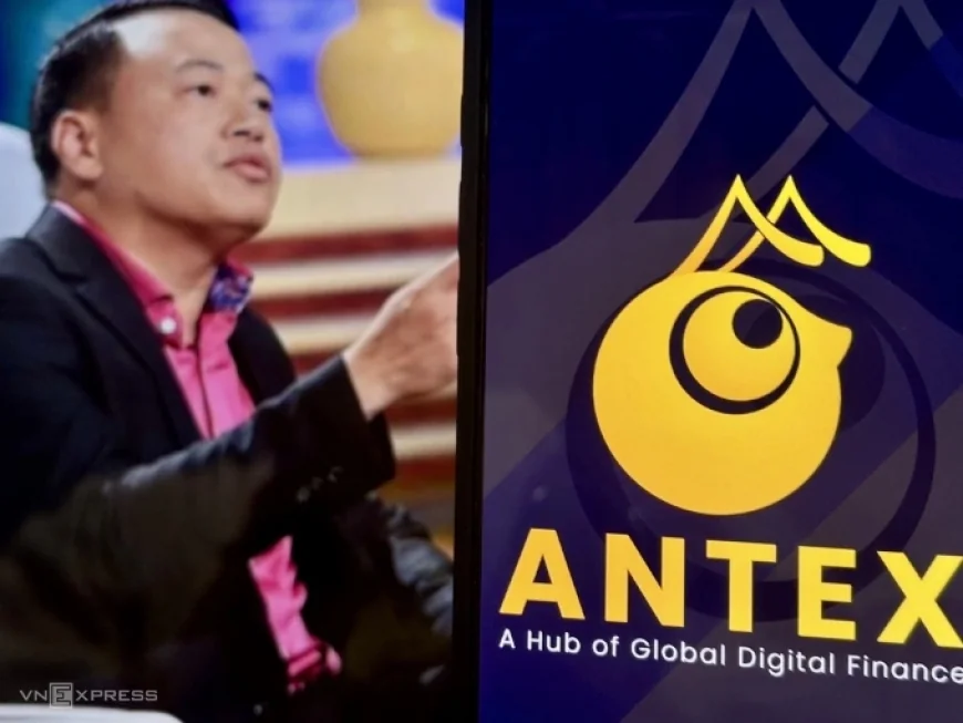 Dự án tiền số AntEx liên quan Shark Bình hoạt động ra sao?