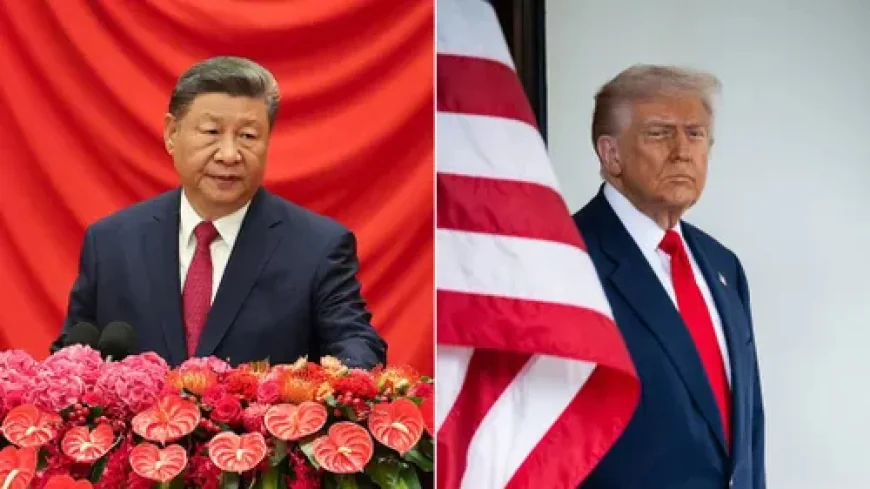 Thị trường tài sản mã hóa phục hồi sau thông báo Trump gặp Tập Cận Bình tại APEC