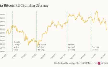 Bitcoin thủng mốc 100.000 USD