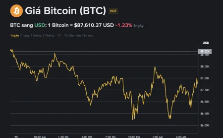 Giá Bitcoin hôm nay 26.11.2025: BTC đảo chiều, TP.HCM lập Liên minh Kinh tế On-chain toàn cầu