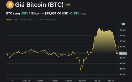 Giá Bitcoin hôm nay 8.12.2025: Thị trường dò đáy khi 2.000 BTC bất ngờ 'thức giấc'