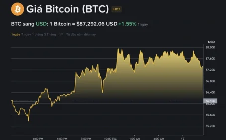 Giá Bitcoin hôm nay 17.12.2025: BTC phục hồi nhưng nhà đầu tư vẫn lo ngại