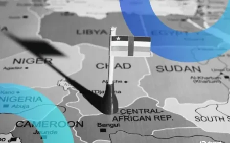 Sáng kiến tài sản mã hóa của Trung Phi bị cáo buộc phục vụ tội phạm và giới tinh hoa