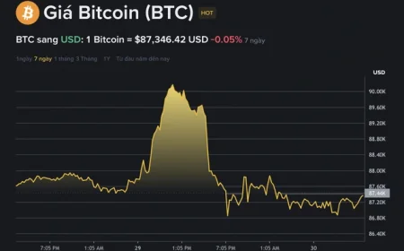 Giá Bitcoin hôm nay 30.12.2025: Vụt tăng rồi quay đầu giảm sốc