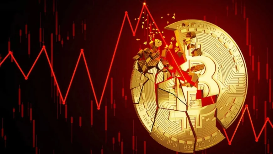 Cú sập bitcoin 2025: Cá voi đi săn, nhà đầu tư nhỏ lẻ nên làm gì?