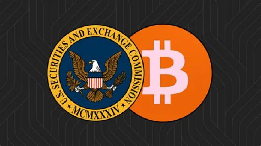 Bitcoin thúc đẩy mức tăng kỷ lục hồ sơ nộp SEC năm 2025