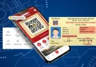 Cách tích hợp thông tin giấy phép lái xe mới vào VNeID để thay bản cứng