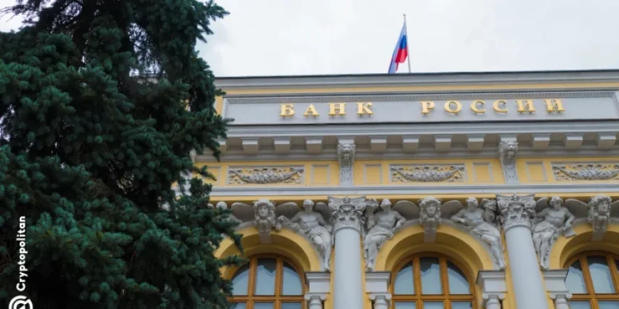 Dự trữ vàng đã chứng minh của Nga tăng hơn 600 tấn