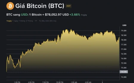 Giá Bitcoin hôm nay 3.2.2026: Quỹ 1 tỉ USD của Binance kéo BTC phục hồi