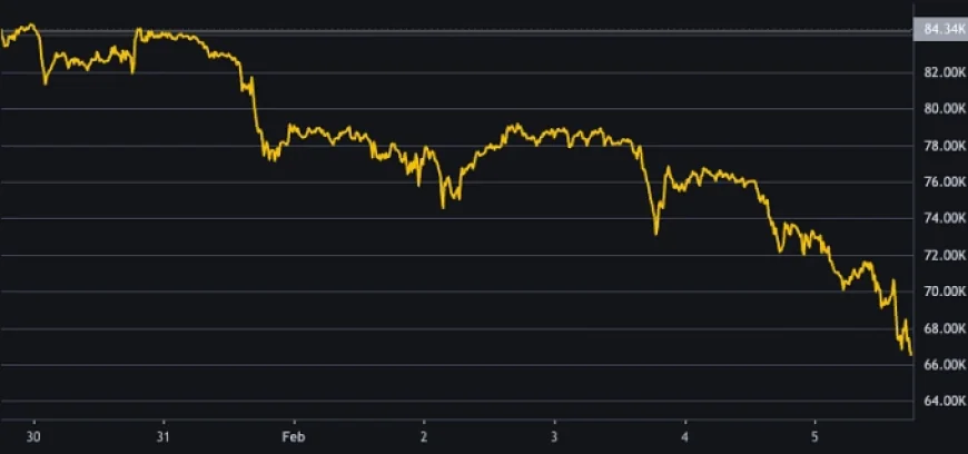 Bitcoin bị bán tháo, mất nửa giá so với đỉnh