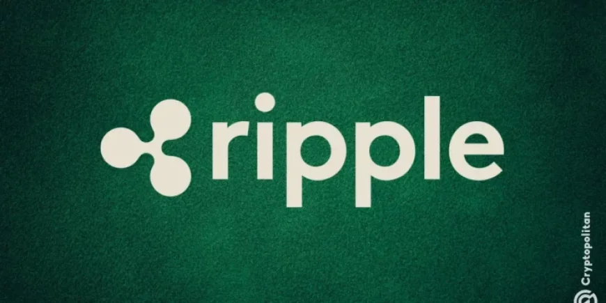 Ripple nâng cấp nền tảng lưu ký với bảo mật phần cứng và staking