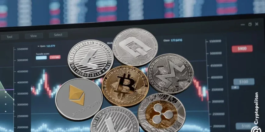 Quỹ Bitcoin rút ròng 264 triệu USD khi altcoin hút dòng vốn trở lại