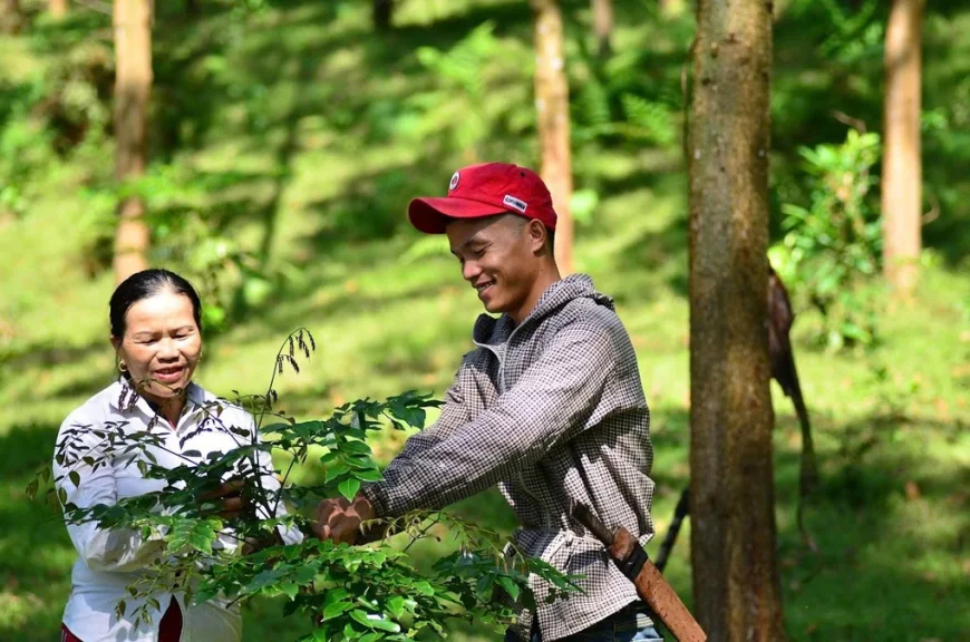 Lộ trình triển khai thị trường tín chỉ carbon, tài sản mã hóa ra sao?