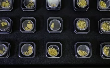 Stablecoin USDT thâm nhập chuỗi buôn bán vàng bất hợp pháp tại Amazon