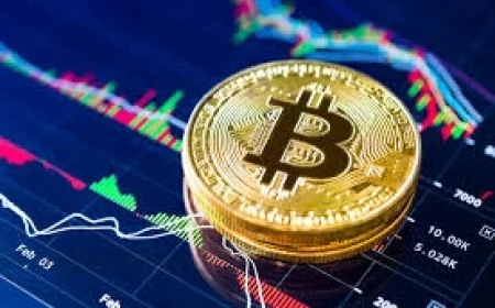 Bắt nhiều đối tượng liên quan đến sàn giao dịch tiền ảo ONUS