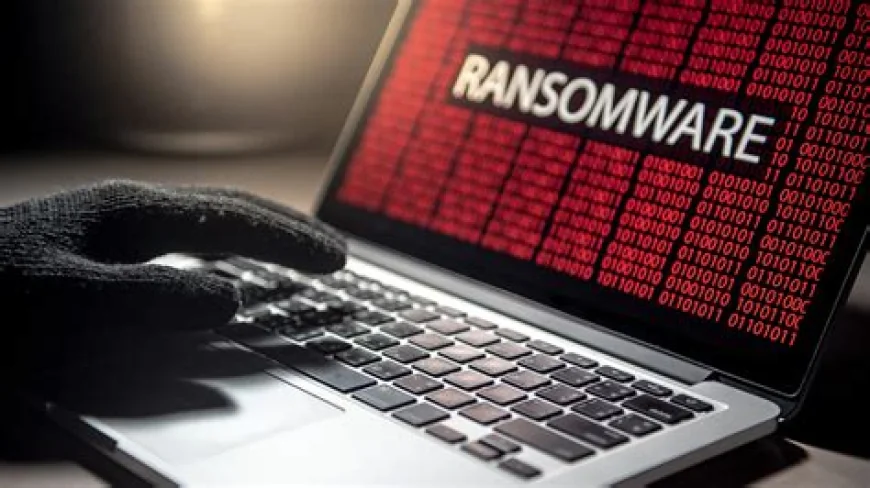 Tấn công ransomware tăng 50% năm 2025 nhưng tiền chuộc giảm 8%