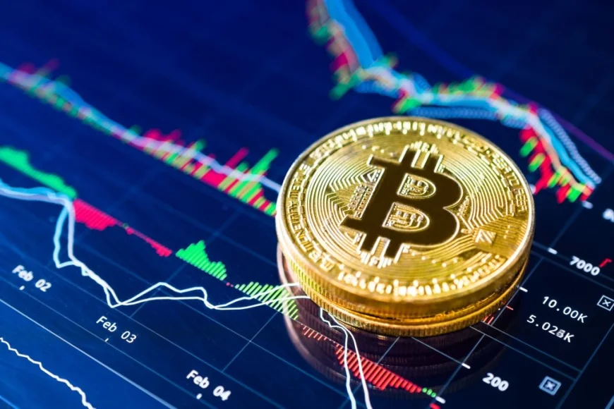 Chính phủ, doanh nghiệp và các quỹ đã gom thêm gần 830.000 Bitcoin trong năm 2025