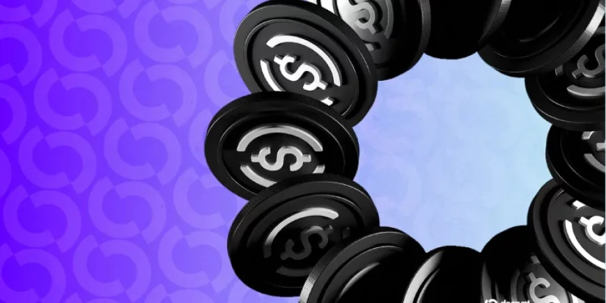 Cổ phiếu Circle phục hồi sau đợt bán tháo “quá mức”, Ark Invest mua vào 16,5 triệu USD