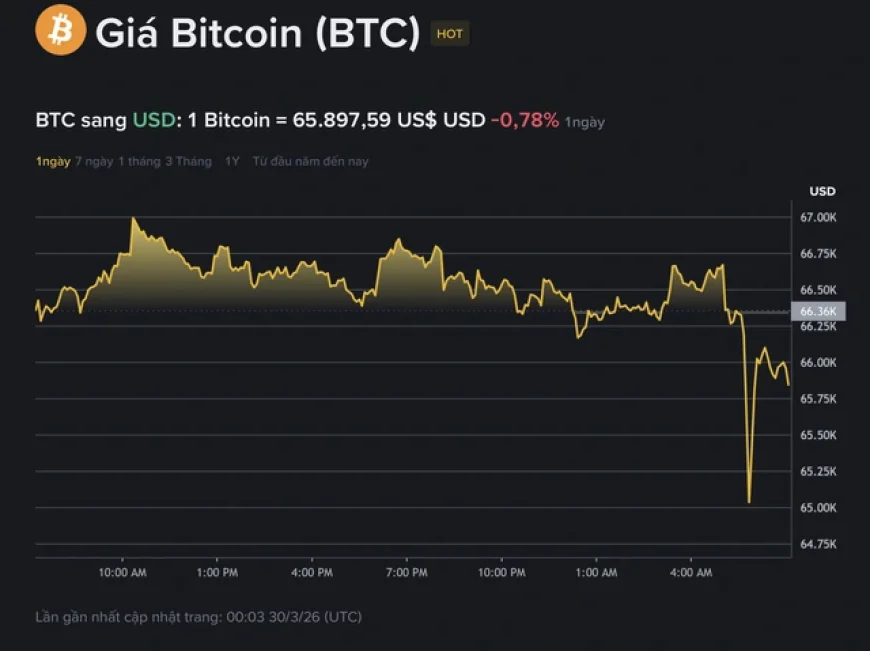 Giá Bitcoin hôm nay 30.3.2026: BTC thủng đáy và động thái lạ của Strategy