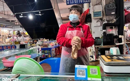 Từ nay 1 tỷ người Trung Quốc dùng Alipay có thể quét QR chi tiêu ở Việt Nam