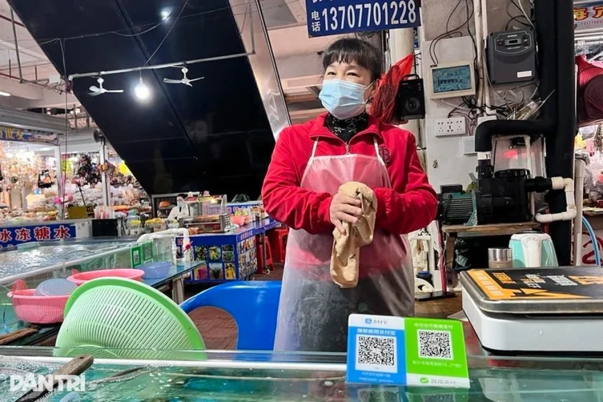 Từ nay 1 tỷ người Trung Quốc dùng Alipay có thể quét QR chi tiêu ở Việt Nam